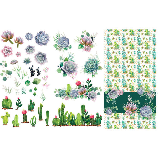 Cacti & Succulents Transfer - Belles & Whistles by Dixie Belle